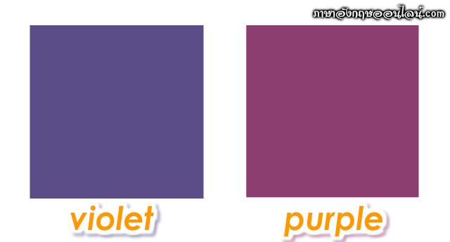 สีม่วง ภาษาอังกฤษ คือ Purple หรือ Violet กันแน่ - ภาษาอังกฤษออนไลน์